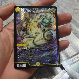 「絶対の楯騎士」