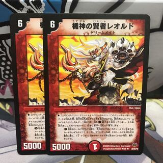 楯神の賢者レオルド