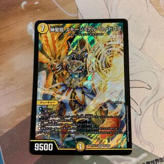 神聖龍 エモーショナル・ハードコア SR