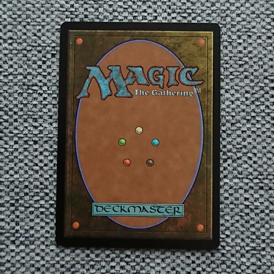 貴族の教主/Noble Hierarch[CON]