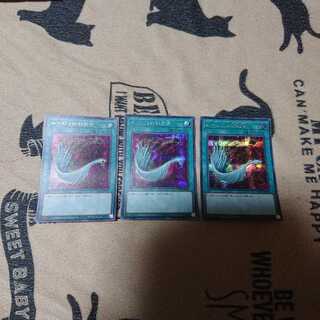 ハーピィの羽根帚 SE  3枚