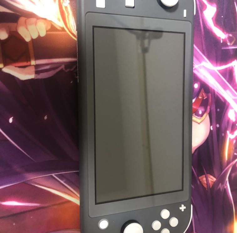 Nintendo Switch Lite グレー