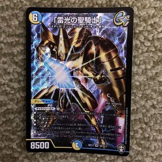 「雷光の聖騎士」