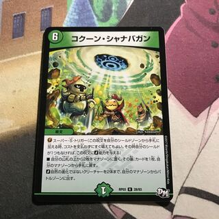 コクーン・シャナバガン