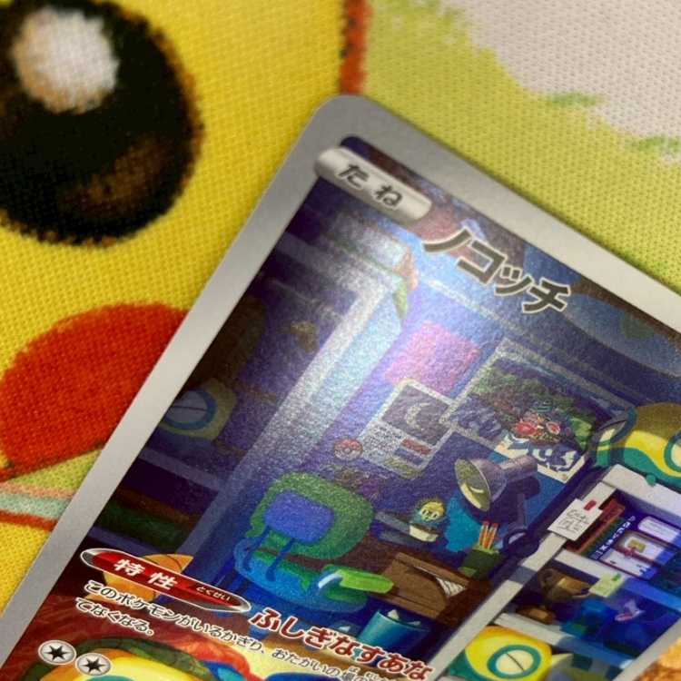 S388 ノコッチ AR 198/172 1枚