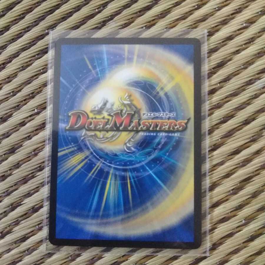 「雷光の聖騎士」