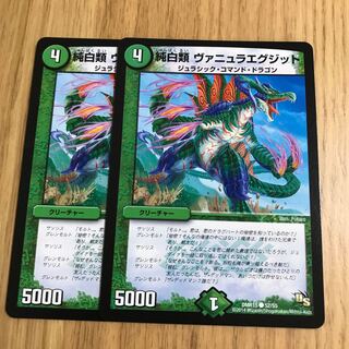 純白類 ヴァニュラエグジット