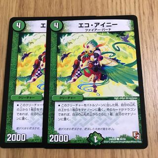 エコ・アイニー