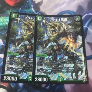 ブラキオ龍樹　2枚