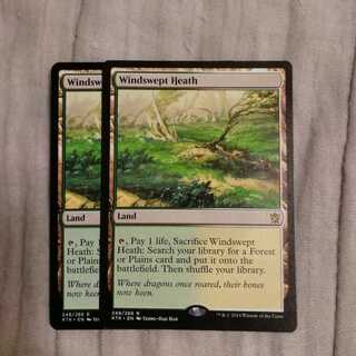 吹きさらしの荒野　２枚