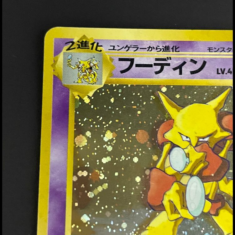 フーディン 通信進化キャンペーン プロモ 1枚