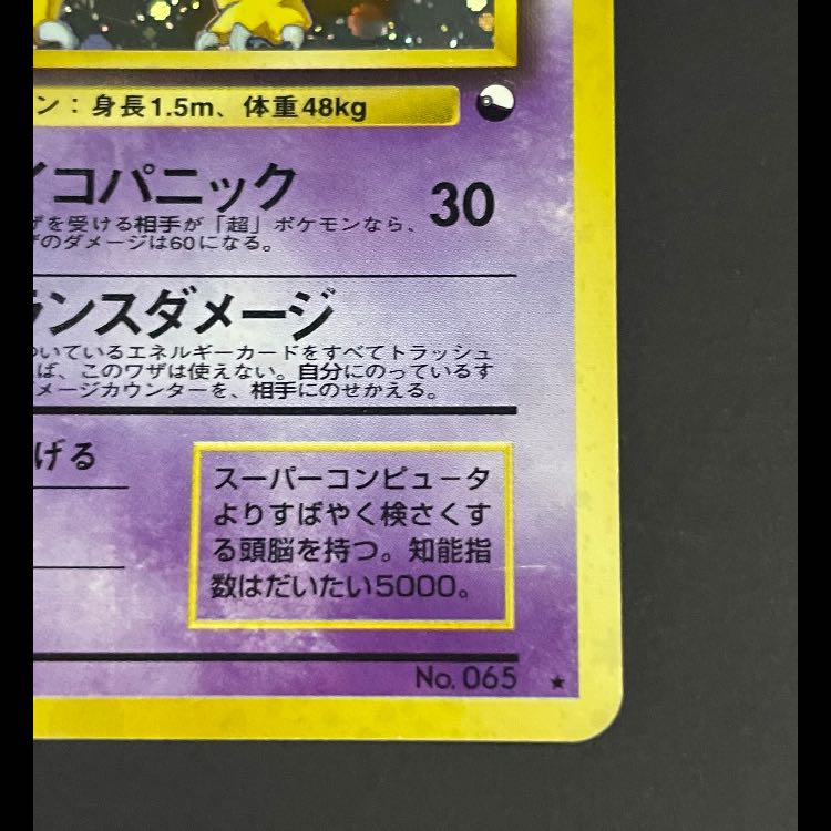 フーディン 通信進化キャンペーン プロモ 1枚