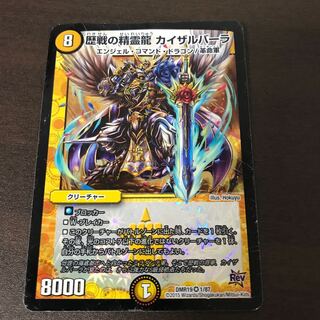 歴戦の精霊龍カイザルバーラ