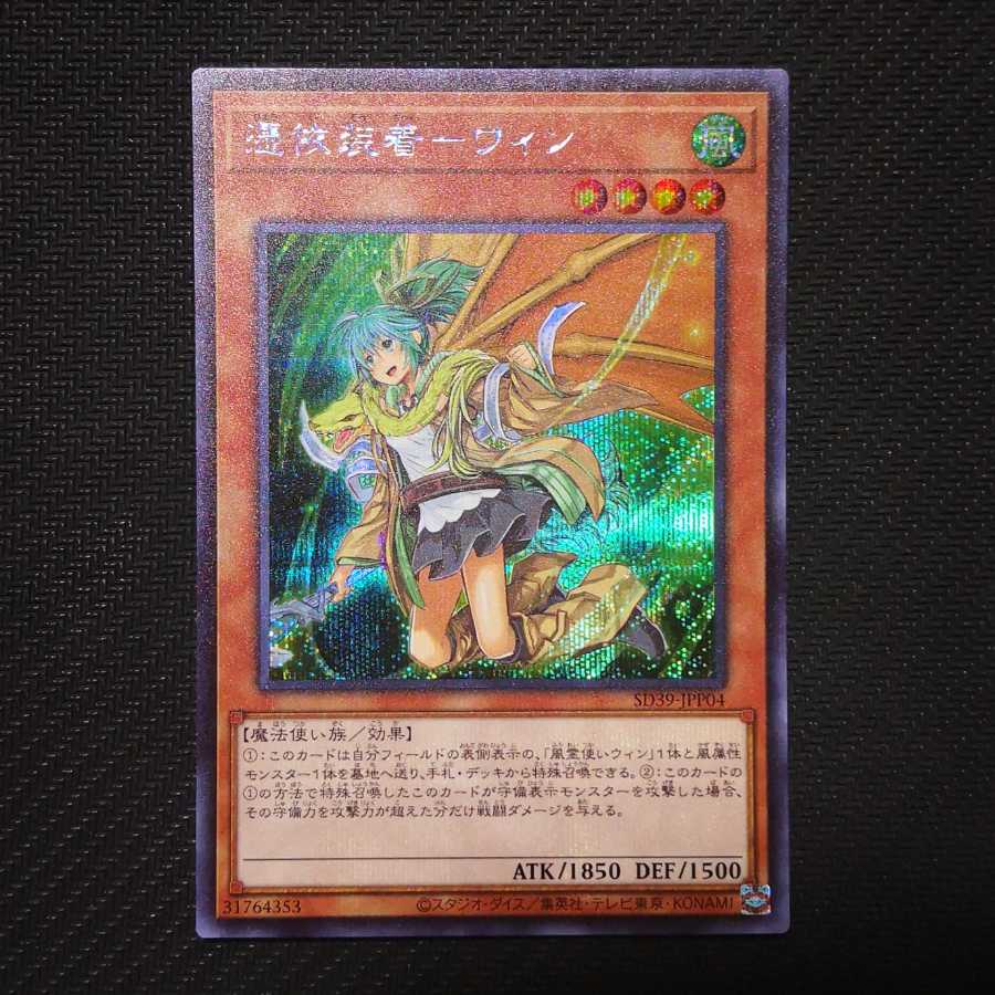 【おまけ付き】憑依装着-ウィン