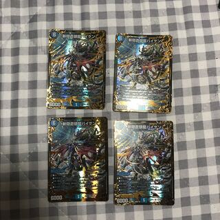 専用　バイケン