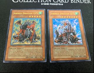 アジアレリーフ   アームド ドラゴン Lv５7