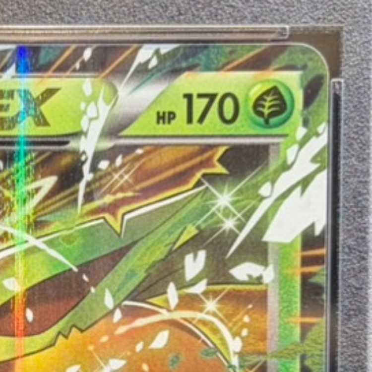 【PSA10】リーフィアEX PROMO 192/XY-P 1枚