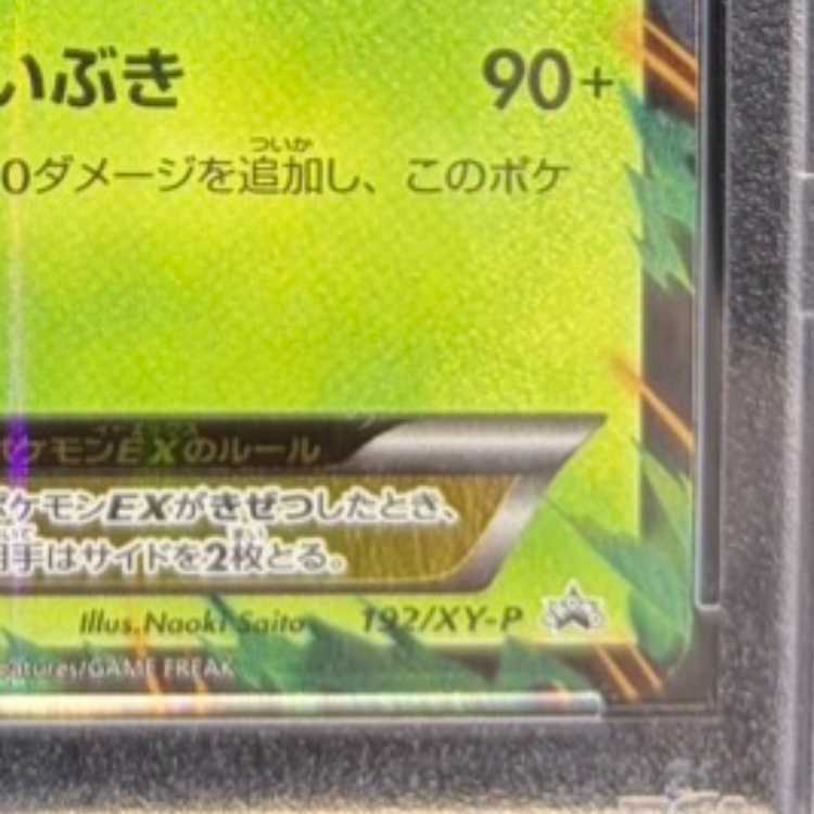 【PSA10】リーフィアEX PROMO 192/XY-P 1枚