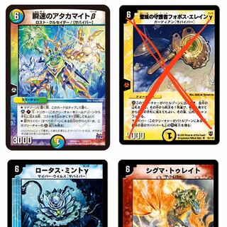 サバイバー 募集中