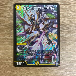 闘門の精霊ウェルキウス