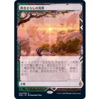 [EX+](FOIL)(フルアート)吹きさらしの荒野/Windswept Heath《日本語》【ZNE】 1枚