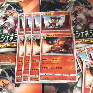 カエンジシ シシコ 進化ライン