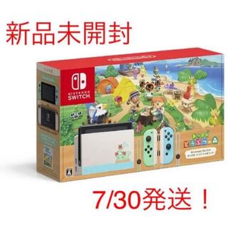 Nintendo Switch あつまれどうぶつの森 セット
