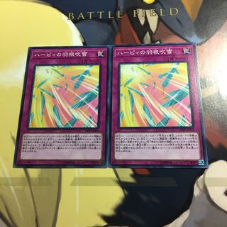 ハーピィの羽根吹雪 2枚