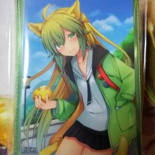 新品アタランテスリーブ　60枚