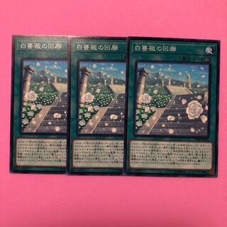 遊戯王 白薔薇の回廊 3枚 ノーマル