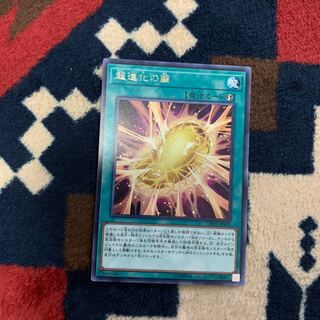 遊戯王 超進化の繭