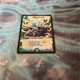 獰猛なる大地 R-foil