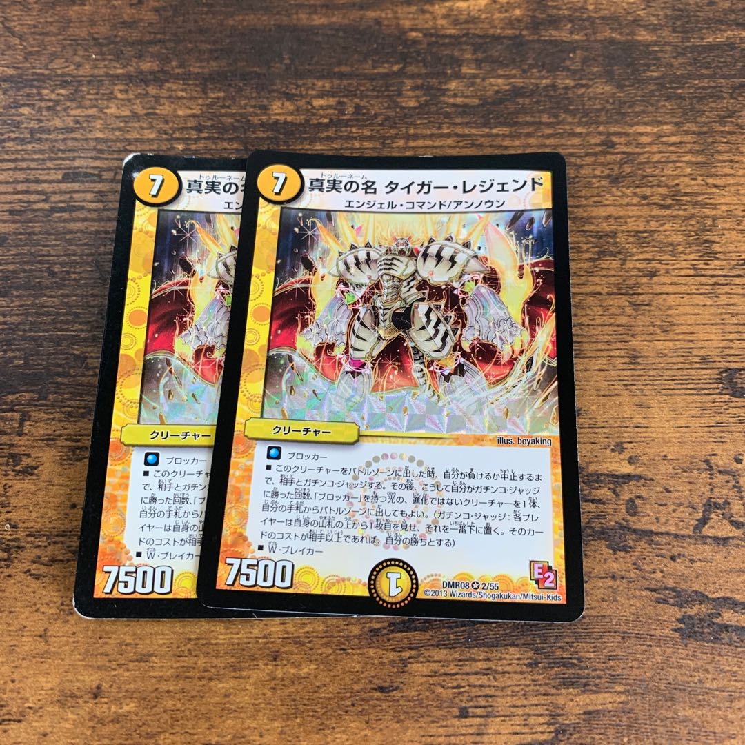 真実の名 タイガー・レジェンド　二枚セット
