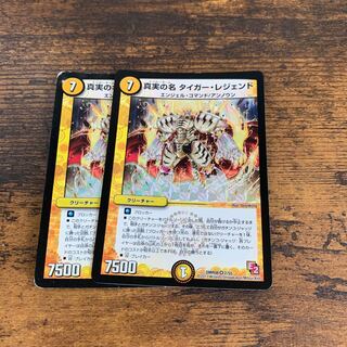 真実の名 タイガー・レジェンド　二枚セット