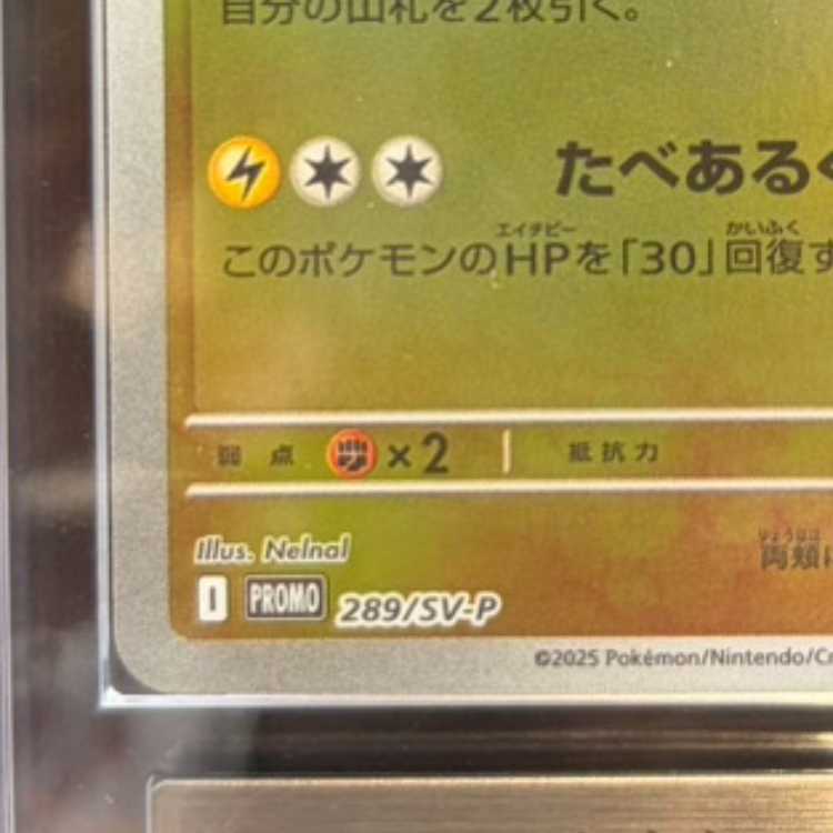【ARS10】 フクオカのピカチュウ (プロモ) {289/SV-P} [SV] 1枚