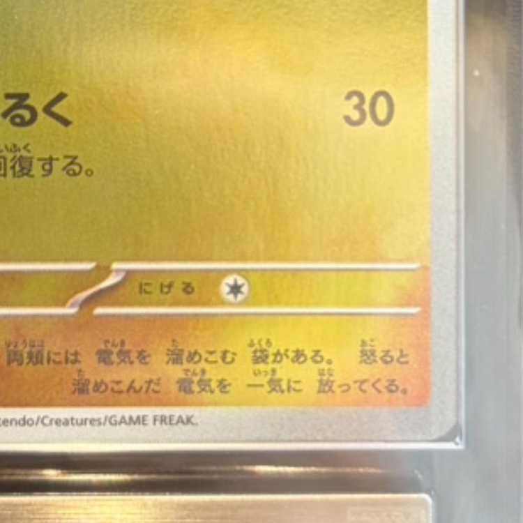 ARS10】 フクオカのピカチュウ (プロモ) {289/SV-P} [SV] 1枚の通販