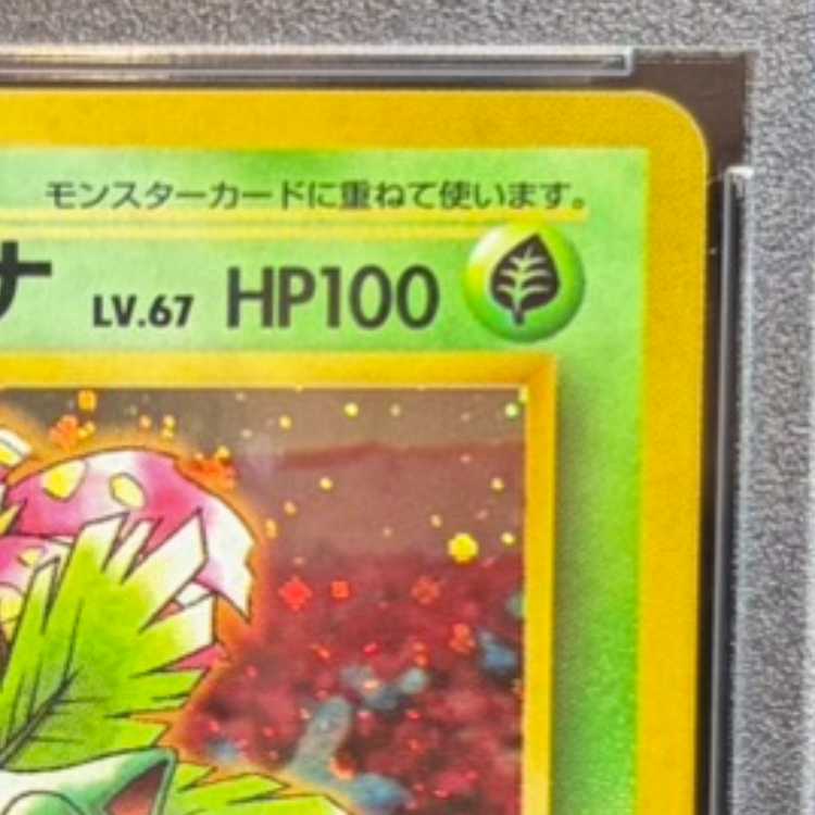 【PSA10】 フシギバナ 《「とりかえっこプリーズ」キャンペーンカード》 (プロモ) [旧裏] 1枚