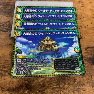 大革命のD ワイルド・サファリ・チャンネル　4枚セット