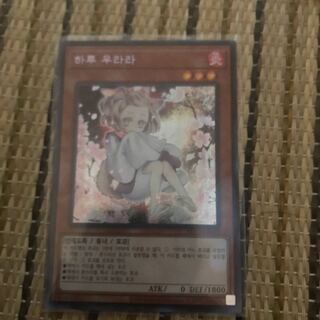 マドレース 灰流うらら SE