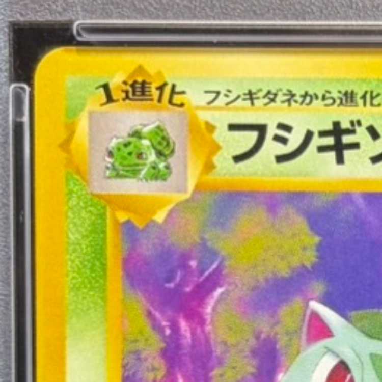 【PSA10】 フシギソウ [イントロパック] [旧裏] 1枚
