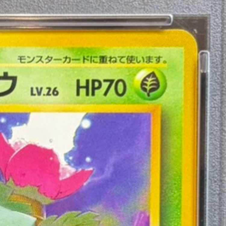 【PSA10】 フシギソウ [イントロパック] [旧裏] 1枚