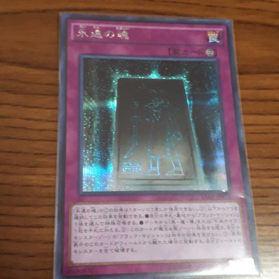 永遠の魂 SE1 R1 韓国1