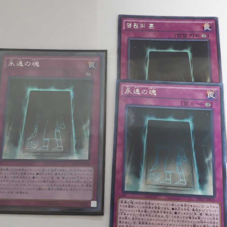 永遠の魂 SE1 R1 韓国1