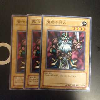 魔物の狩人　wstorm