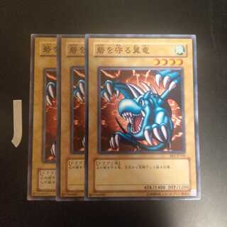 砦を守る翼竜　wstorm