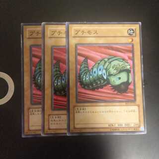 プチモス　wstorm