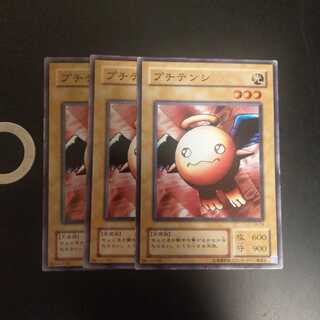 プチテンシ　wstorm