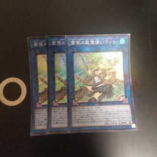 蒼翠の風霊使いウィン　wstorm