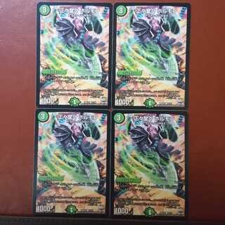 セット割引 正々堂々 ホルモン