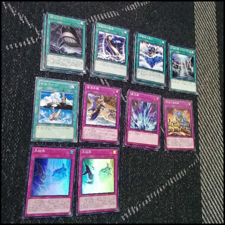 遊戯王　デッキ　クラゲ　海　リヴァイアサン　ファーストペンギン[05101] 1枚